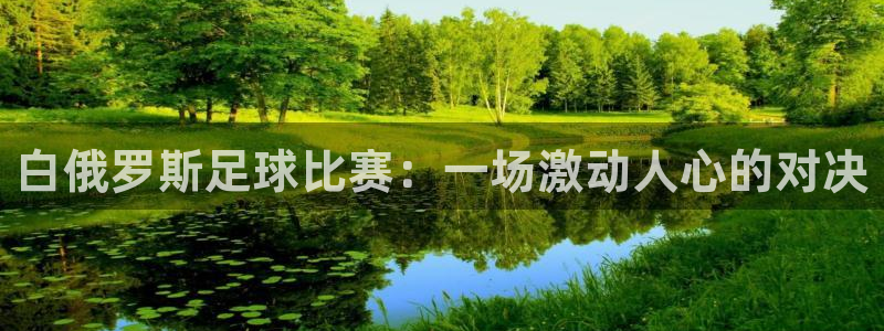  白俄罗斯足球比赛：一场激动人心的对决