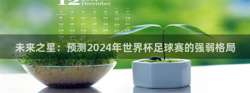 未来之星：预测2024年世界杯足球赛的强弱格局