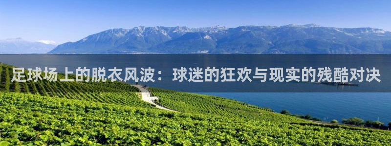 足球场上的脱衣风波：球迷的狂欢与现实的残酷对决