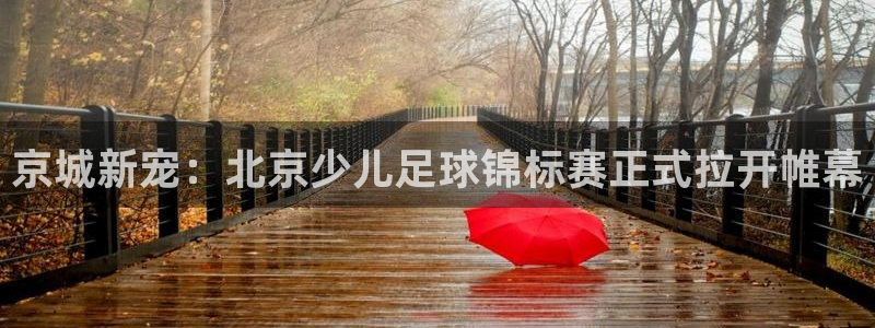  京城新宠：北京少儿足球锦标赛正式拉开帷幕