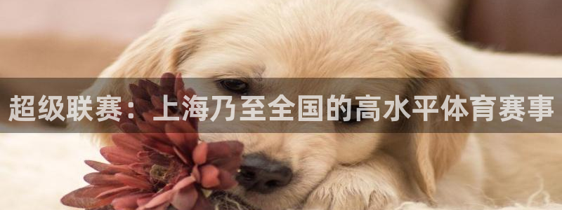 超级联赛：上海乃至全国的高水平体育赛事