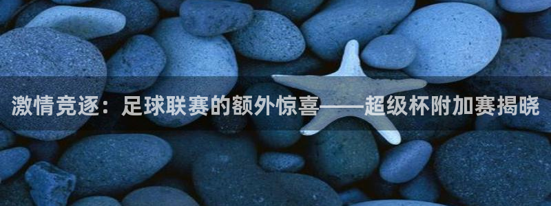  激情竞逐：足球联赛的额外惊喜——超级杯附加赛揭晓