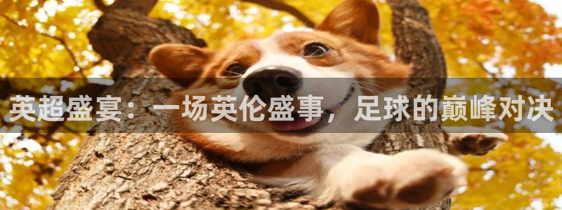 英超盛宴：一场英伦盛事，足球的巅峰对决