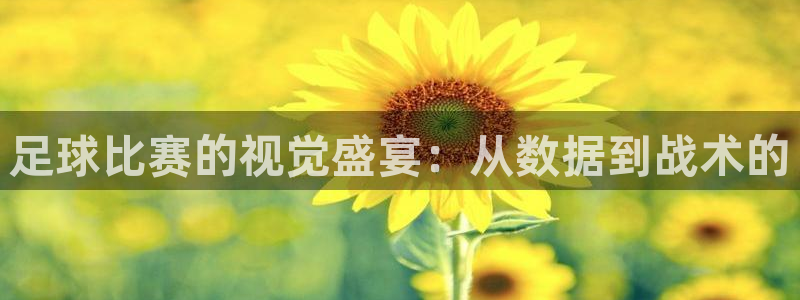 足球比赛的视觉盛宴：从数据到战术的