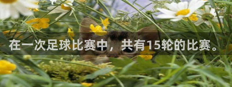  在一次足球比赛中，共有15轮的比赛。