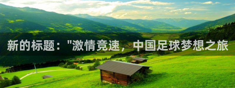  新的标题：\