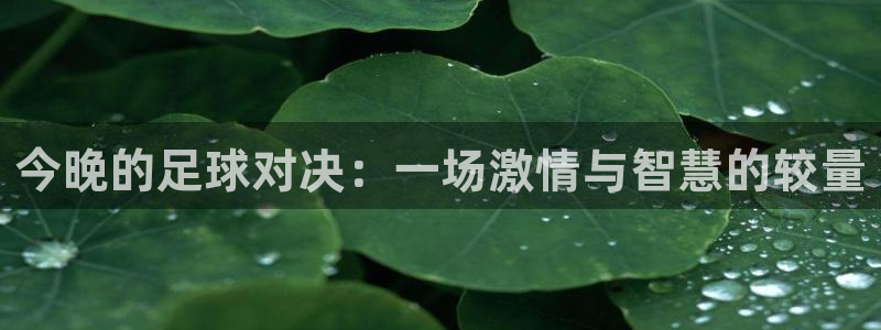  今晚的足球对决：一场激情与智慧的较量