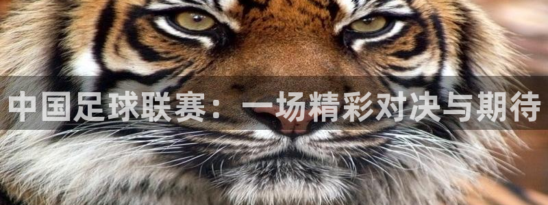 中国足球联赛：一场精彩对决与期待