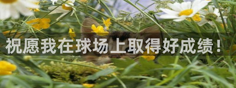  祝愿我在球场上取得好成绩！