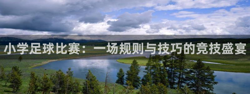 小学足球比赛：一场规则与技巧的竞技盛宴