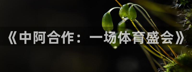 《中阿合作：一场体育盛会》