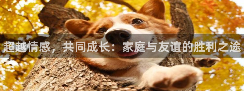 超越情感，共同成长：家庭与友谊的胜利之途