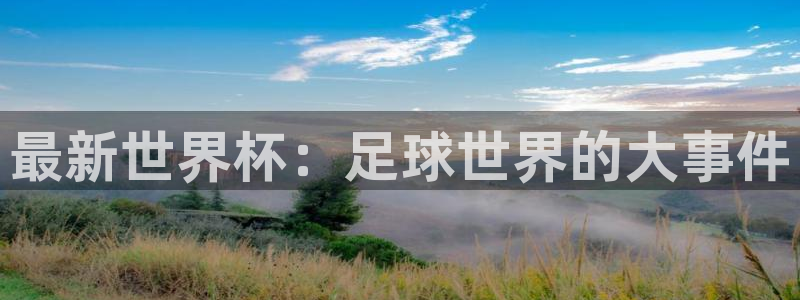 最新世界杯：足球世界的大事件