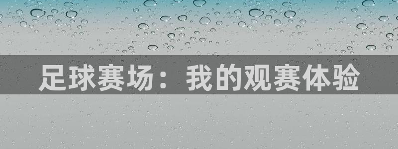 足球赛场：我的观赛体验