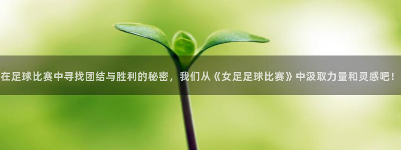 在足球比赛中寻找团结与胜利的秘密，我们从《女足足球比赛》中汲