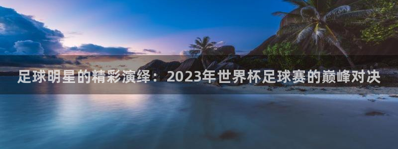 足球明星的精彩演绎：2023年世界杯