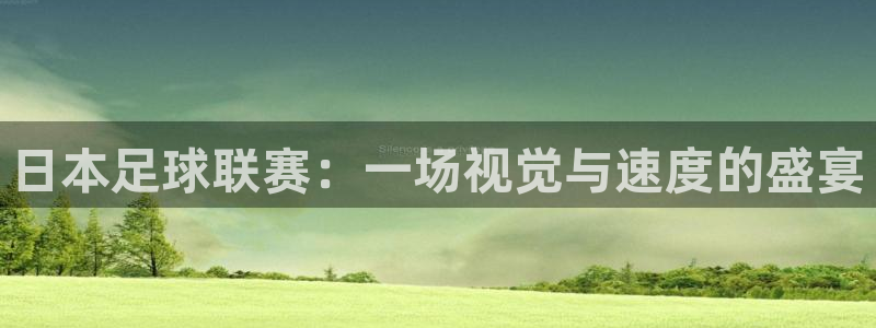 日本足球联赛：一场视觉与速度的盛宴