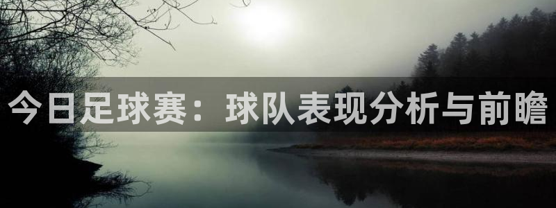 今日足球赛：球队表现分析与前瞻