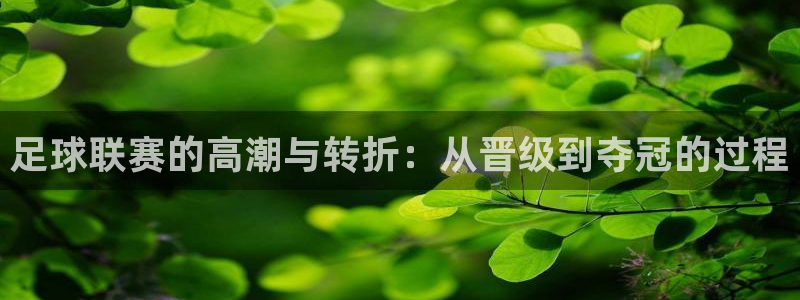 足球联赛的高潮与转折：从晋级到夺冠的