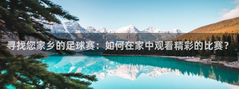 寻找您家乡的足球赛：如何在家中观看精