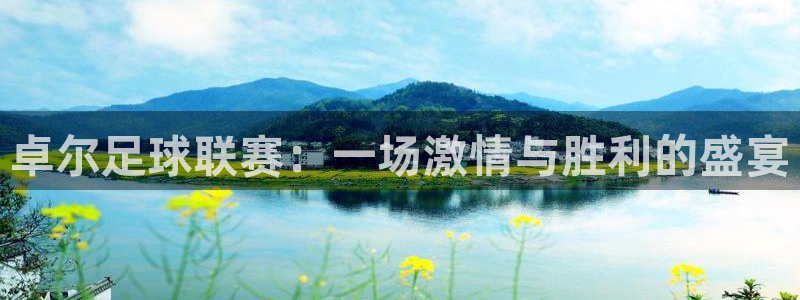 卓尔足球联赛：一场激情与胜利的盛宴