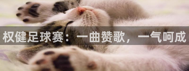 权健足球赛：一曲赞歌，一气呵成