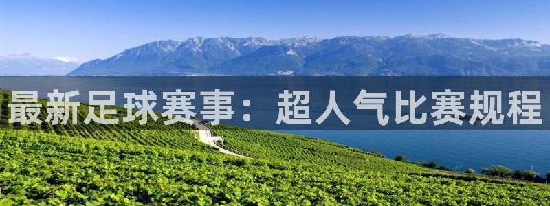 最新足球赛事：超人气比赛规程