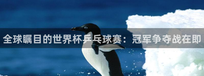 新球体育直播：全球瞩目的世界杯乒乓球赛：冠军争夺战在即