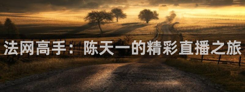 新球体育app：法网高手：陈天一的精彩直播之旅