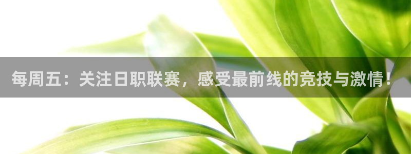 新球体育比分网：每周五：关注日职联赛，感受最前线的竞技与激情！